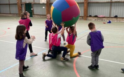 Kin-Ball